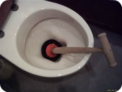 Blocked Toilet Ls1